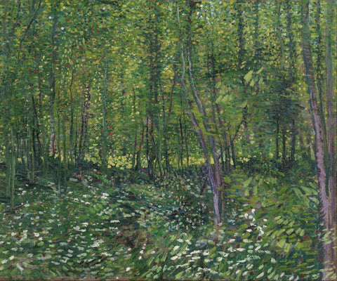 Trees and undergrowth by Vincent Van Gogh