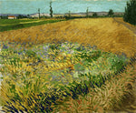 Wheatfield by Vincent Van Gogh