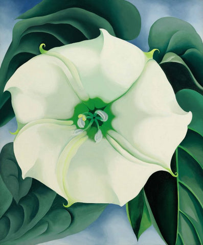 White Flower No 1 by Georgia O'Keeffe