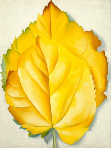 Yellow Leaves by Georgia O'Keeffe